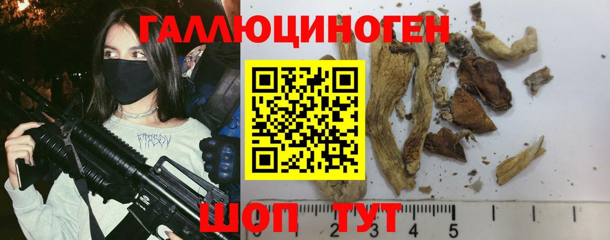 Магадан  Галлюциногенные грибы мицелий  Вход с VPN 