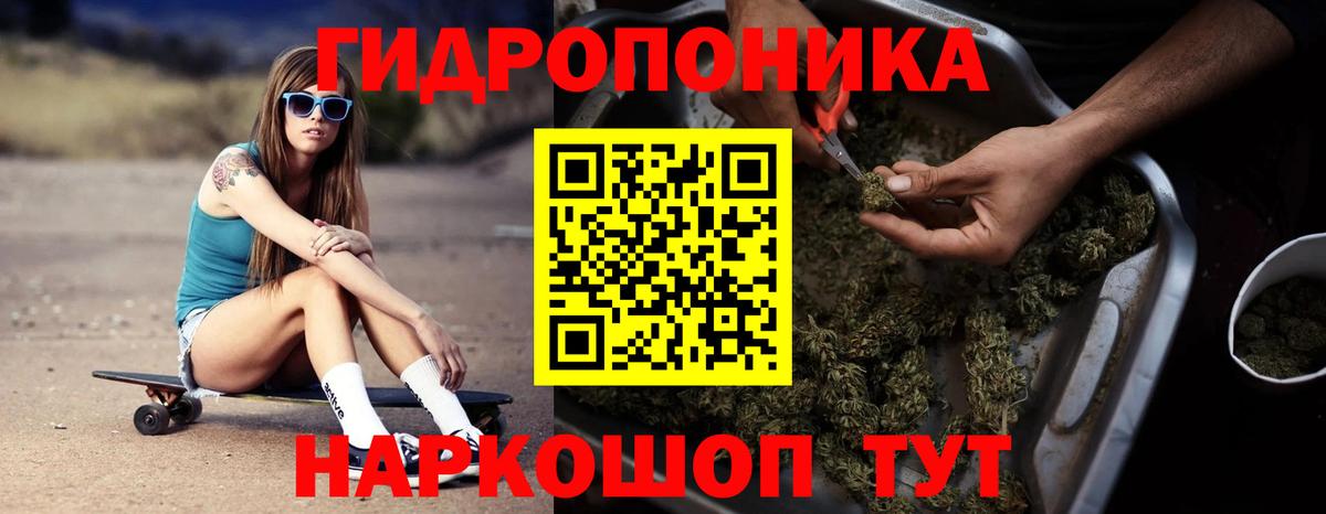 Шишки марихуана планчик Магадан
